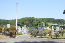 �C���[�W01